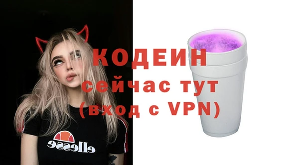 сатива Дмитровск