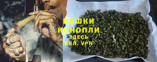 PSILOCYBIN Дмитров