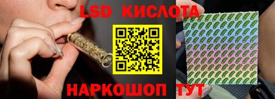 гидропоника Камышлов