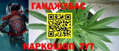 гидропоника Камышлов
