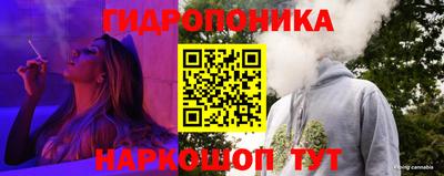индика Канаш