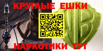 гидропоника Камышлов