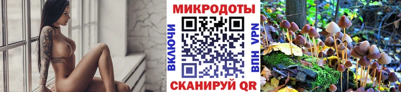 Галлюциногенные грибы Cubensis  Карачаевск 